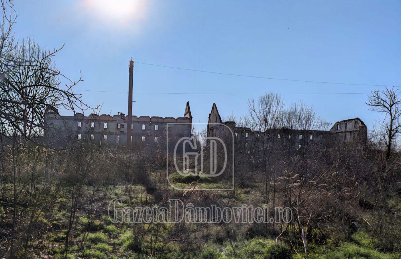 depozitul de tutun gaesti