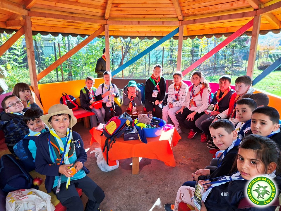 cercetășia reînvie în județul dâmbovița (1)