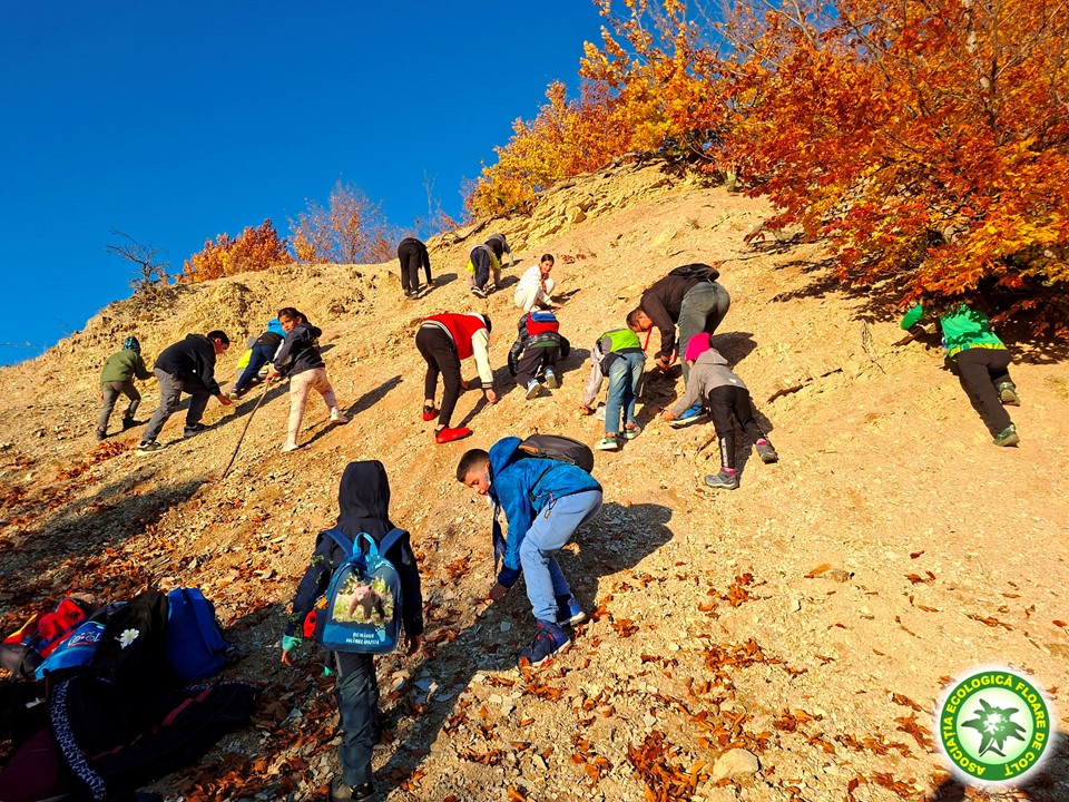 cercetășia reînvie în județul dâmbovița (3)