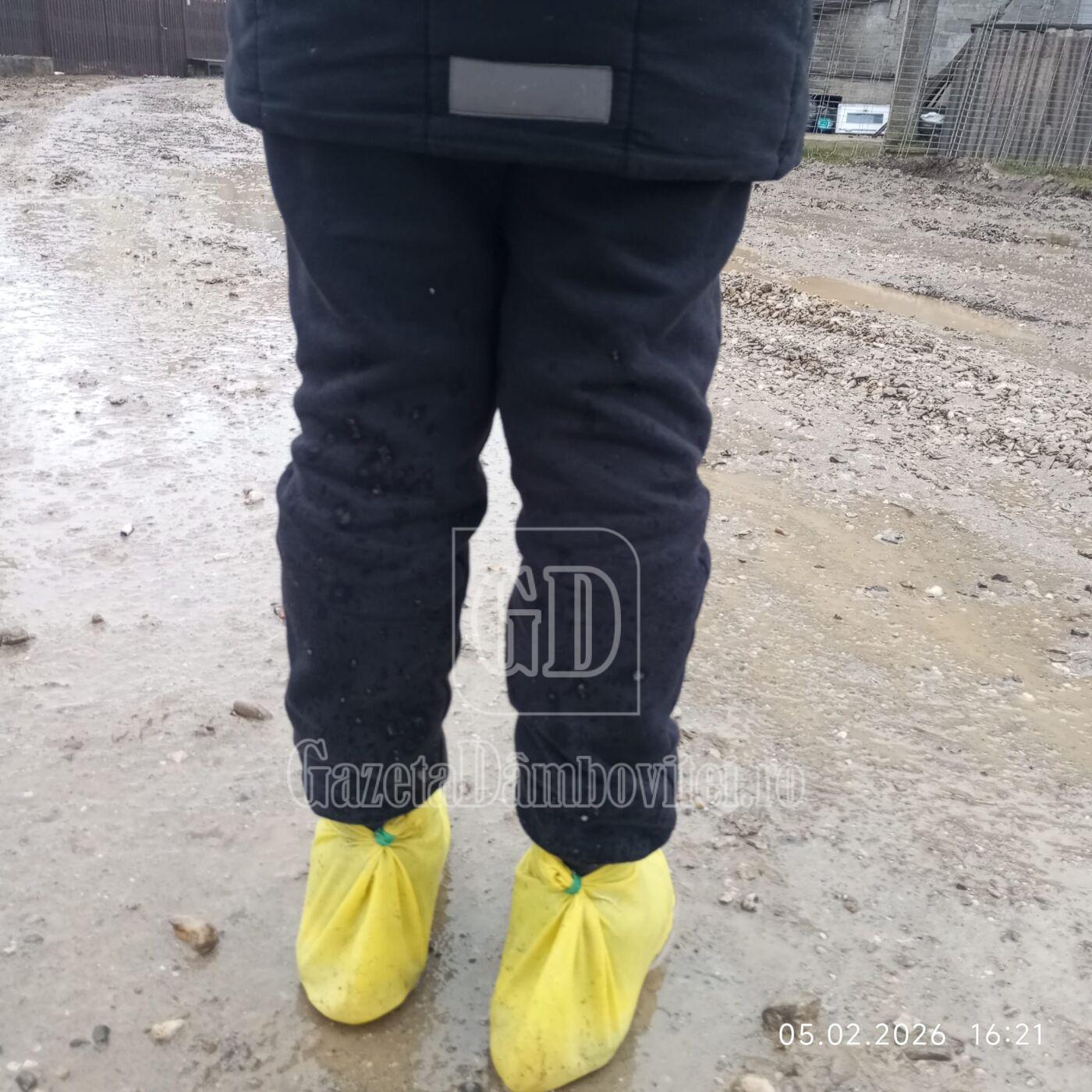 whatsapp image 2026 02 05 at 16.30.02 (2)