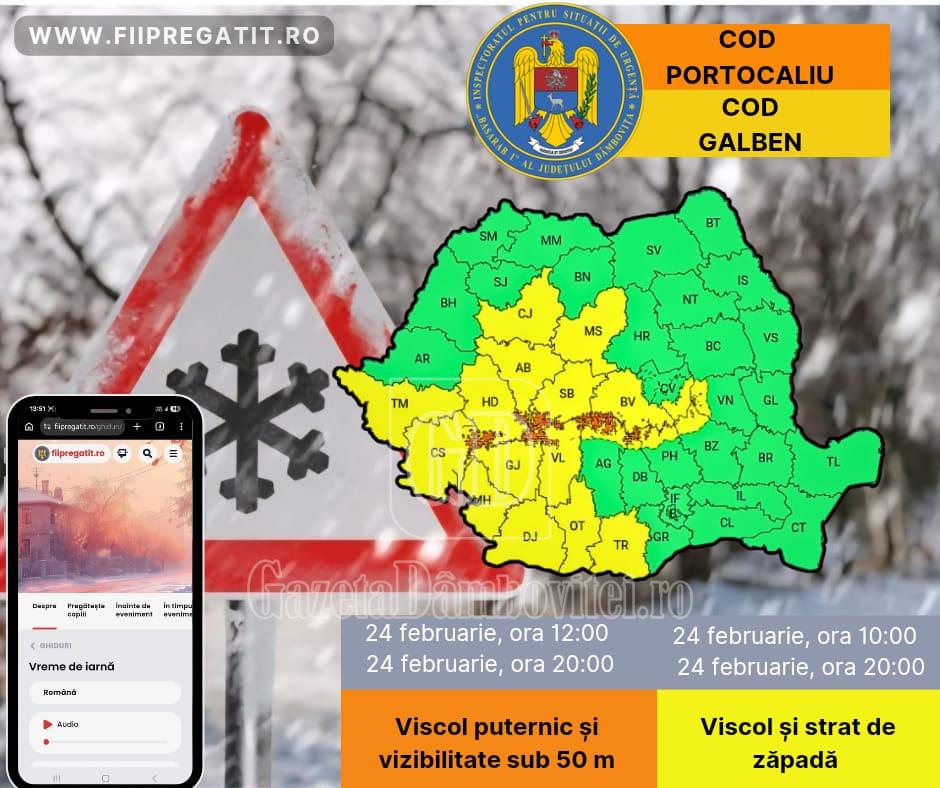 whatsapp image 2026 02 24 at 10.39.33