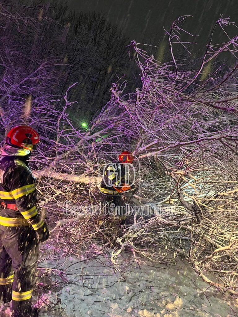 d10f81ac 5af5 44c3 afe1 6769e98d3511