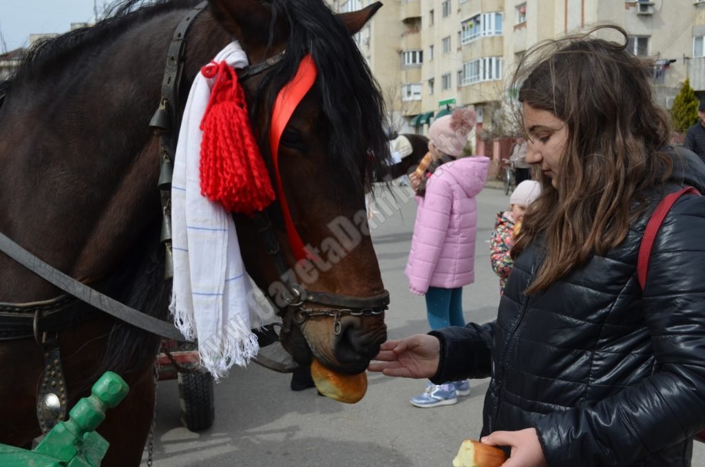 pastele cailor 1 1024x678