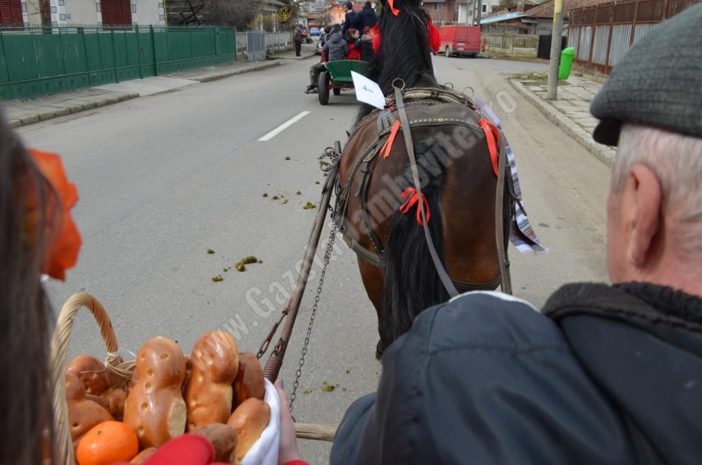 pastele cailor 7 1024x678