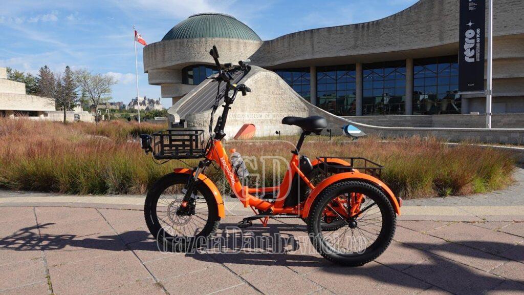 1.sfaturipentrusigurantapedrumuripentruutilizatoriidetricicluelectric