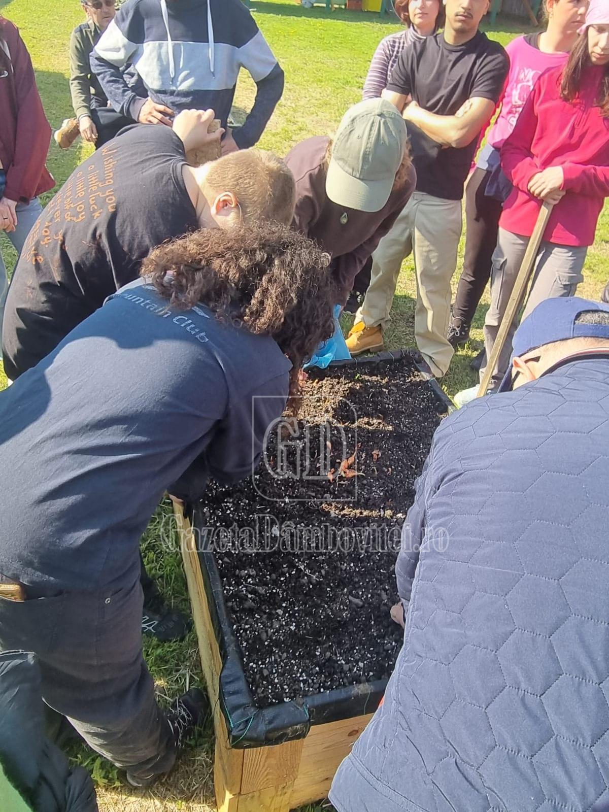 11 elevi de la ,,nicolae ciorănescu târgoviște, experiență educațională europeană în cadrul programului erasmus (2)