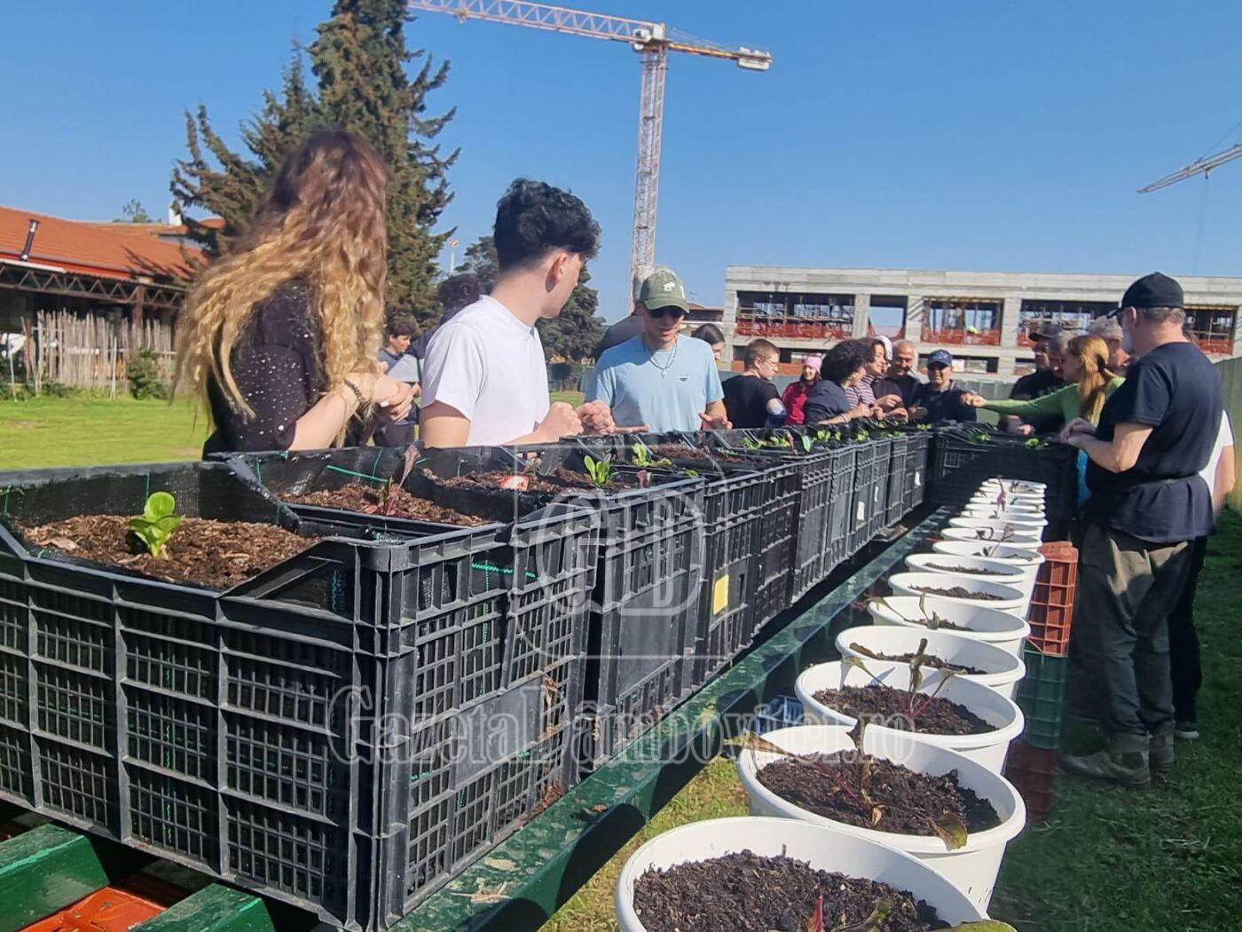 11 elevi de la ,,nicolae ciorănescu târgoviște, experiență educațională europeană în cadrul programului erasmus (4)