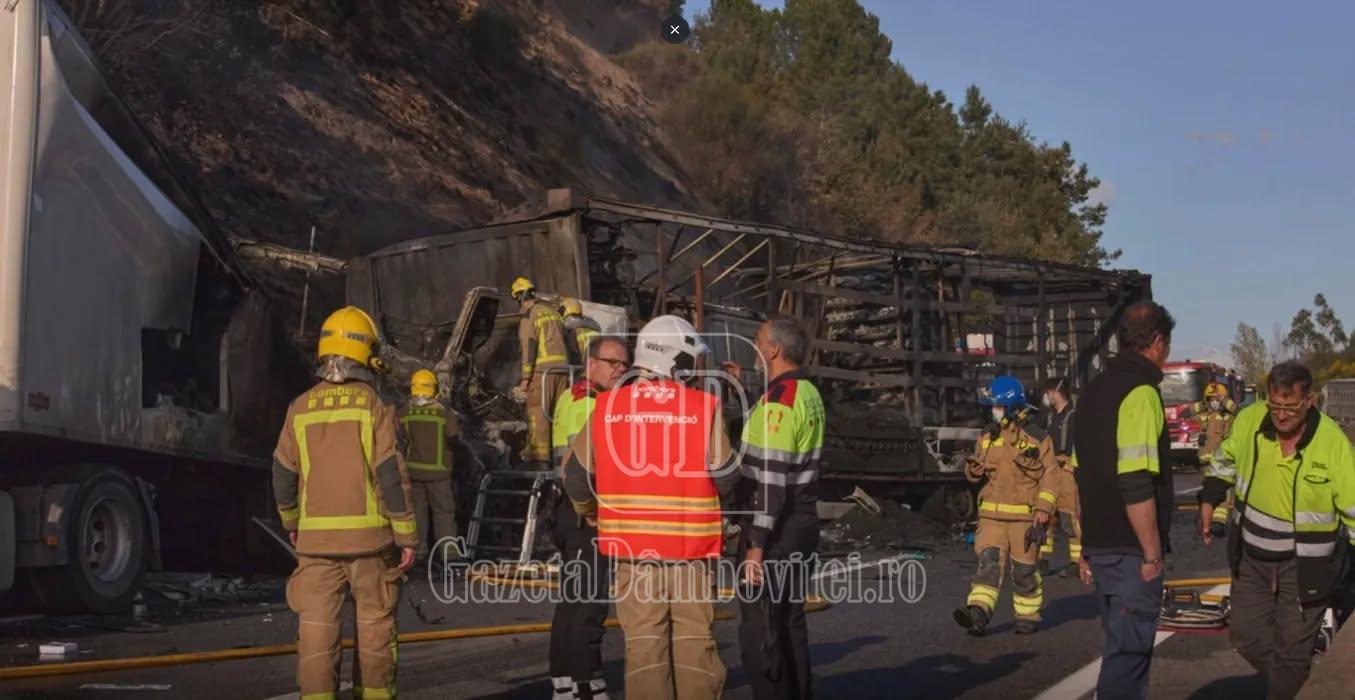 657839430 1963230240981966 4930955645700898729 n