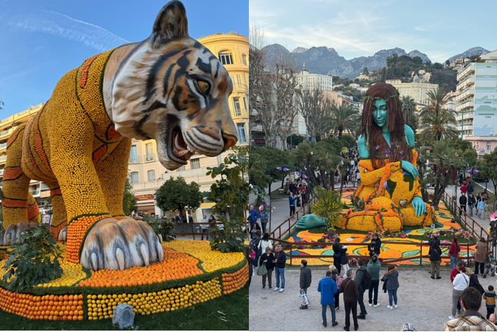 screenshot 2026 03 08 091200