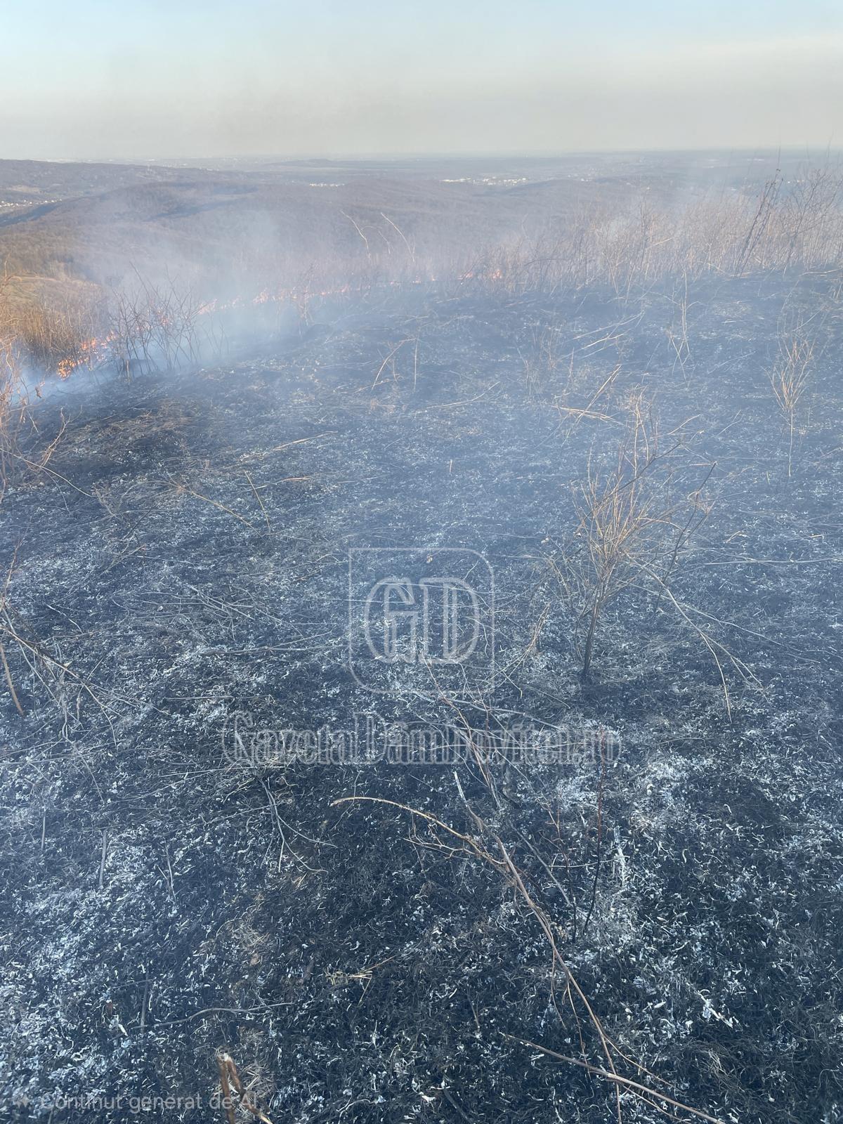 whatsapp image 2026 03 08 at 18.05.36 (1)