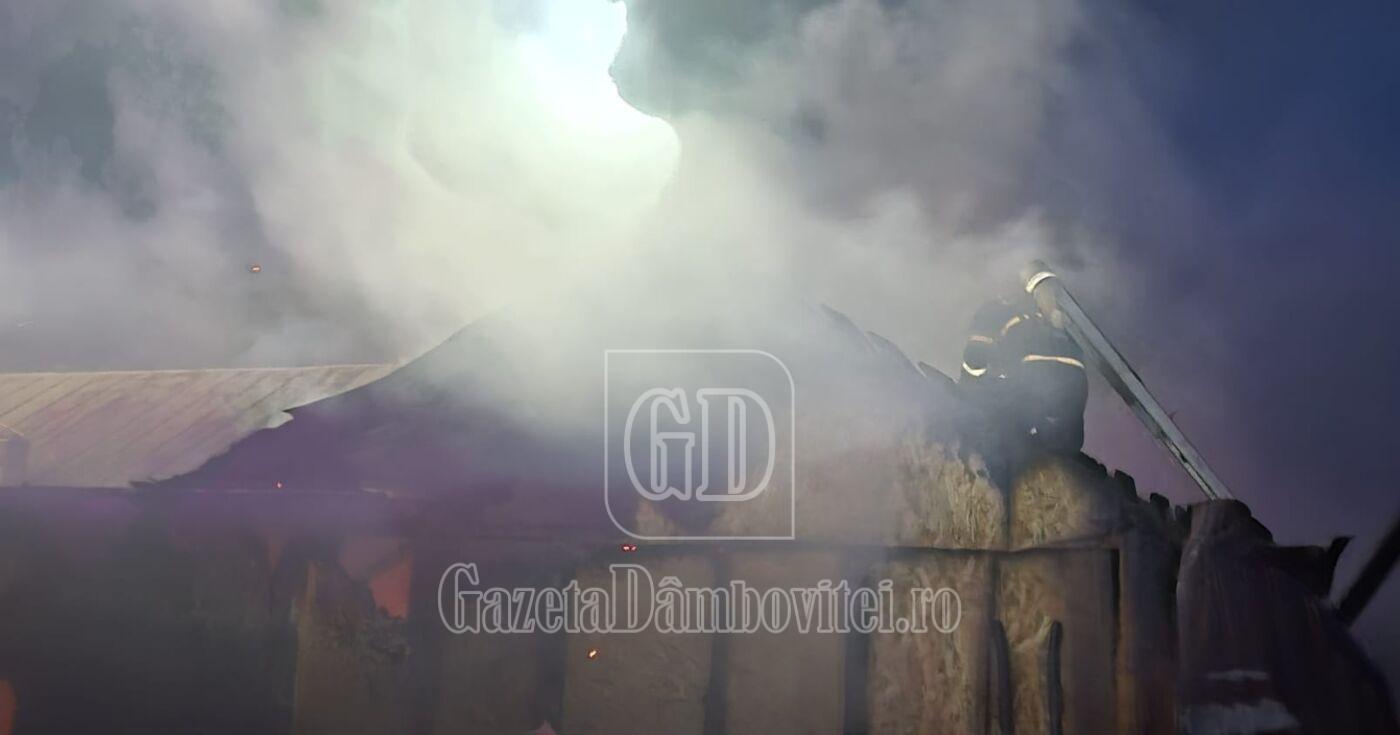 whatsapp image 2026 03 15 at 19.27.58 (1)