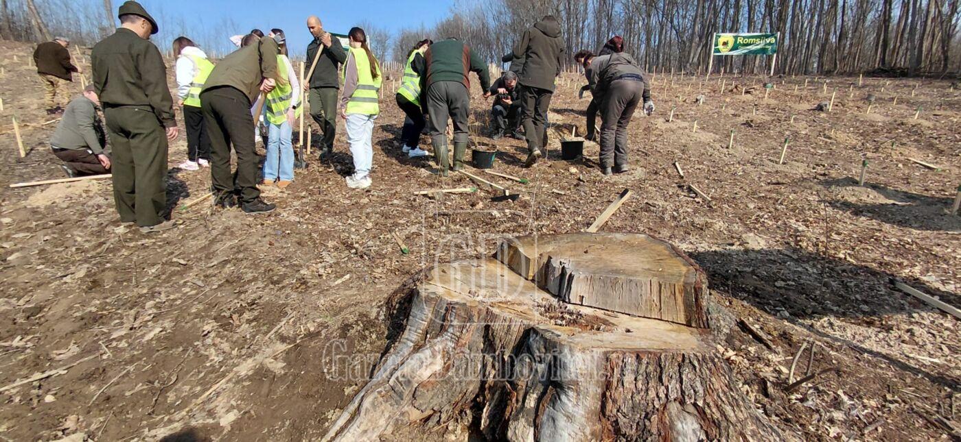 luna padurii 2026 dambovita (1)