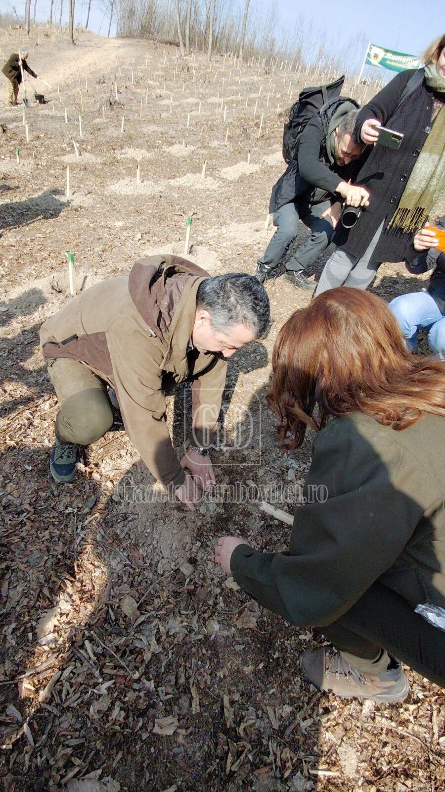 luna padurii 2026 dambovita (2)