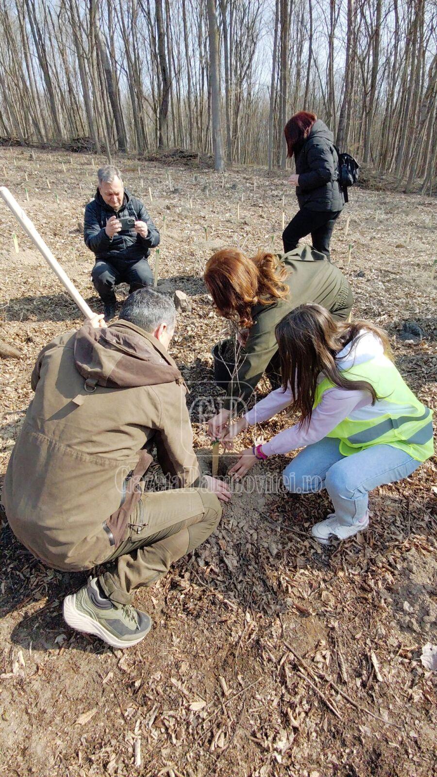 luna padurii 2026 dambovita (4)