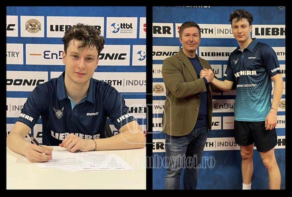 movileanu germania 2