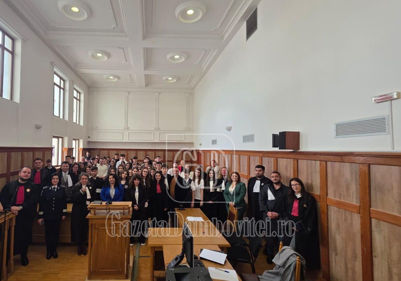 procese simulate tribunalul dambovita (4)