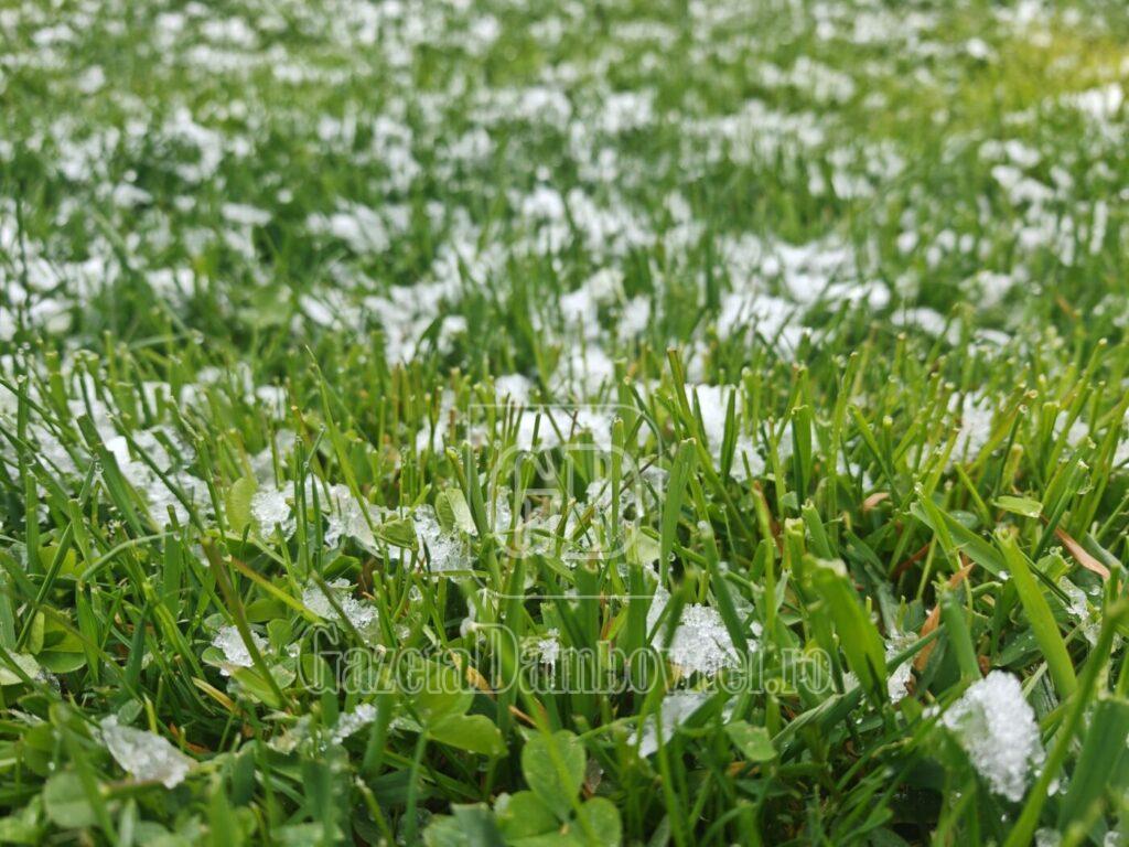 whatsapp image 2026 04 10 at 08.50.54