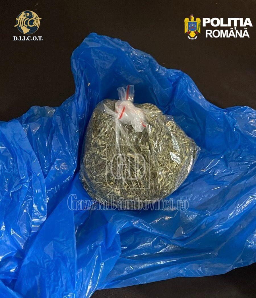 whatsapp image 2026 04 22 at 14.20.34