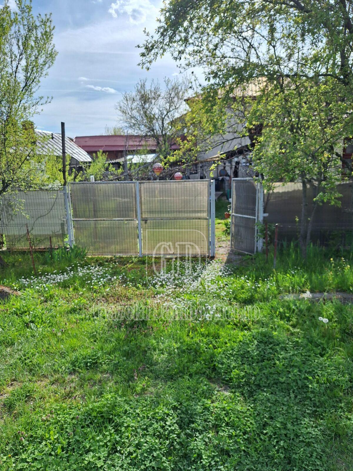 casa de vanzare aninoasa (1)