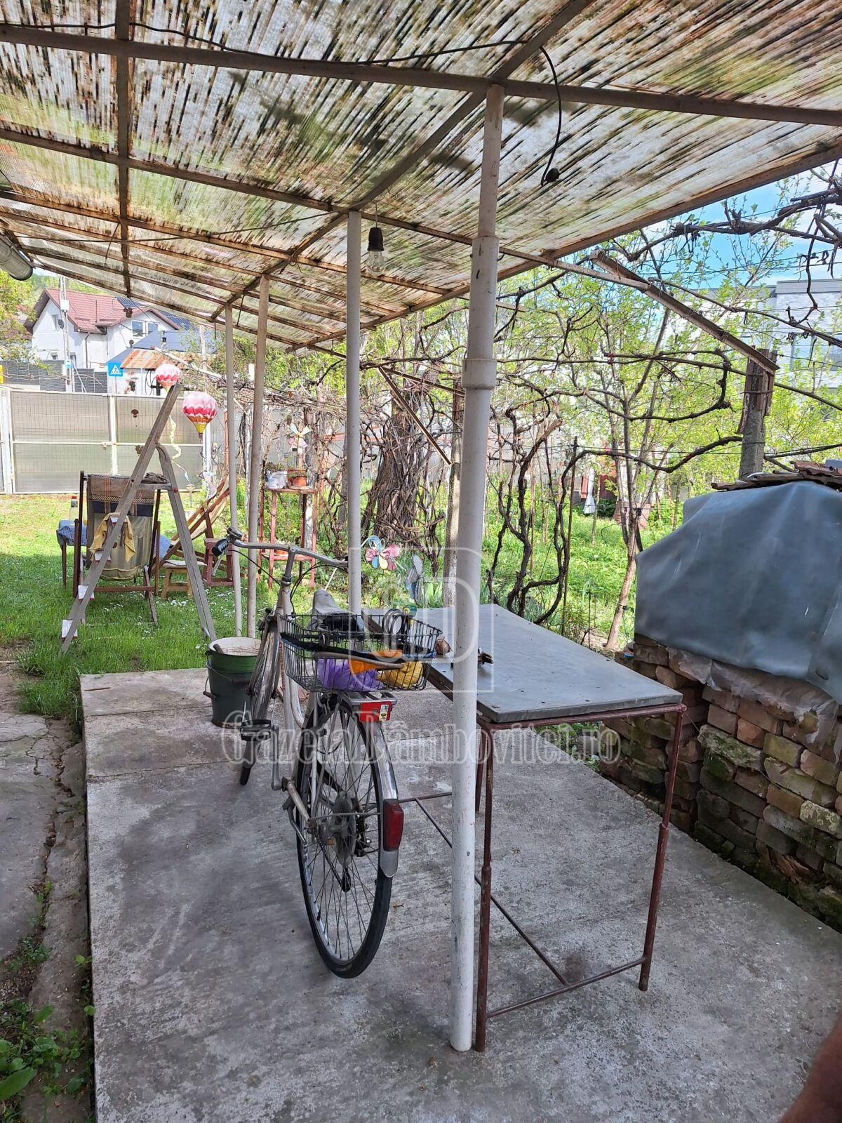 casa de vanzare aninoasa (11)