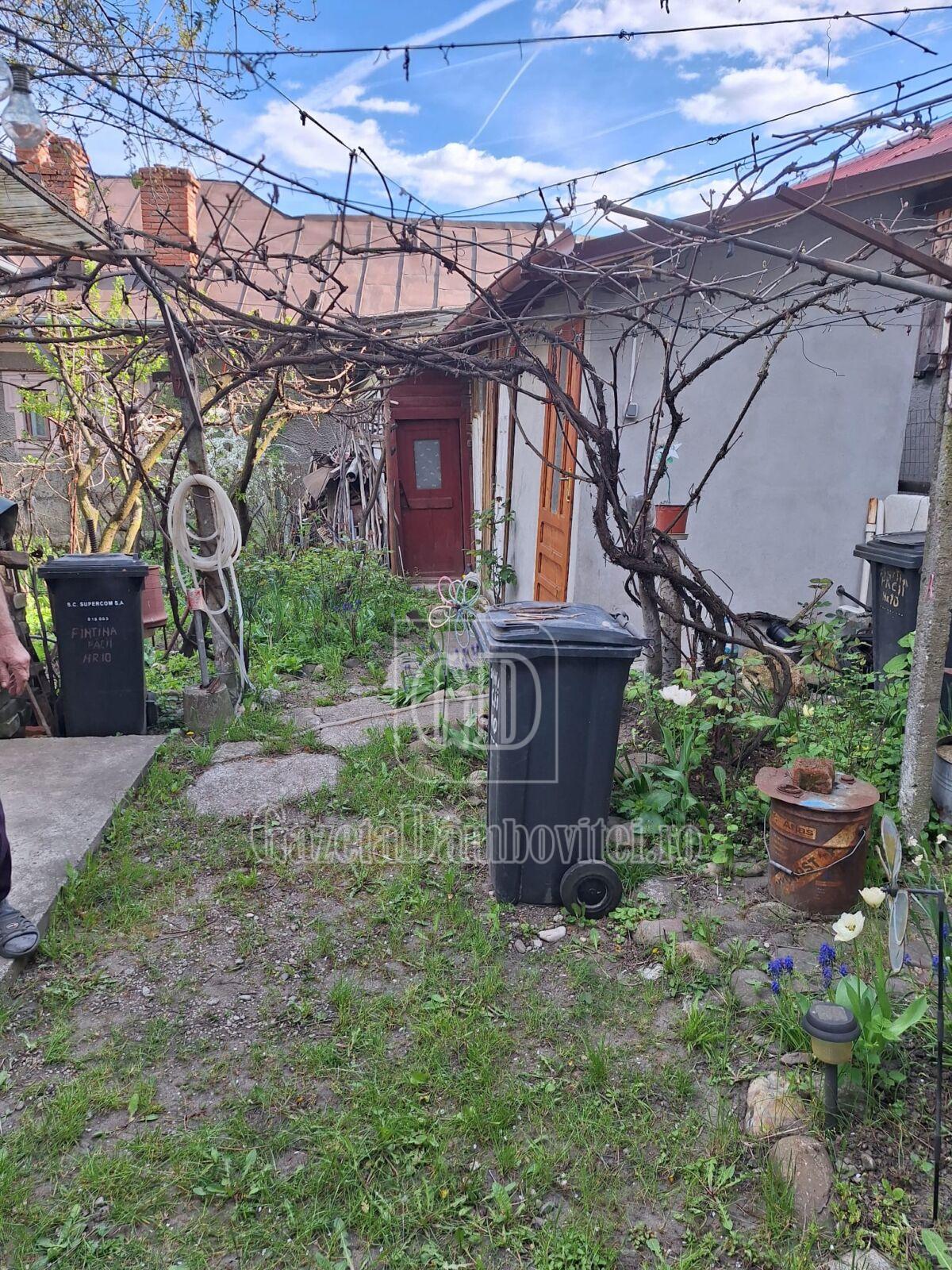 casa de vanzare aninoasa (12)