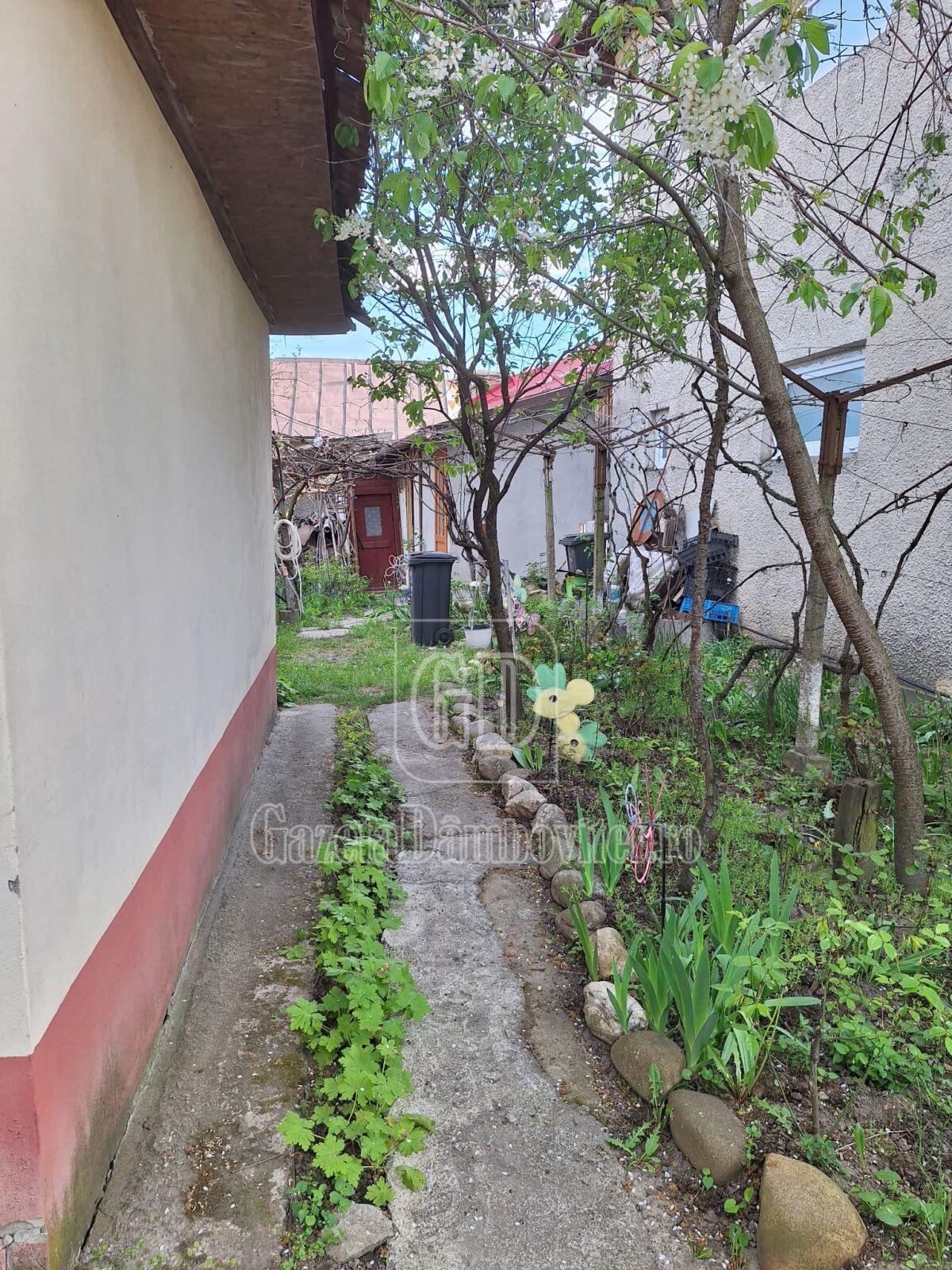 casa de vanzare aninoasa (14)