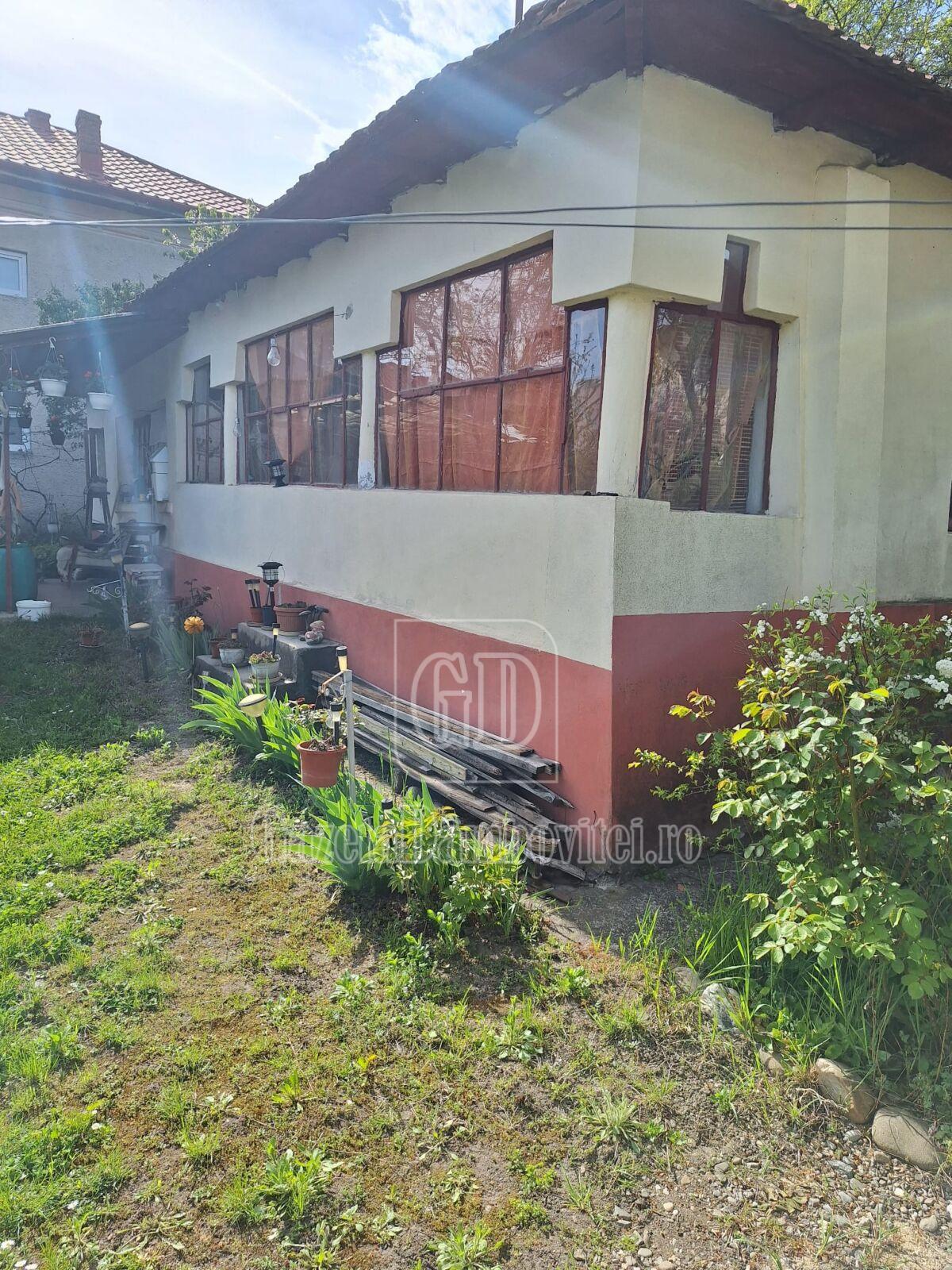 casa de vanzare aninoasa (16)