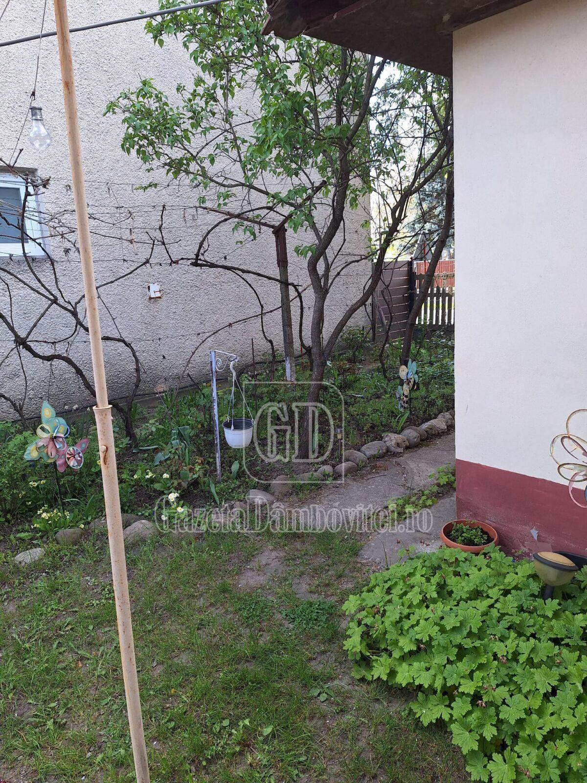 casa de vanzare aninoasa (17)