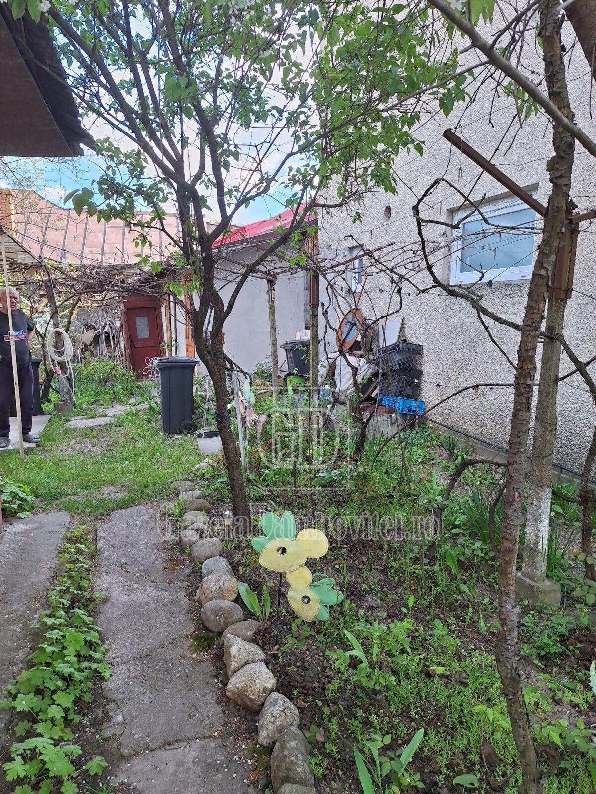 casa de vanzare aninoasa (18)