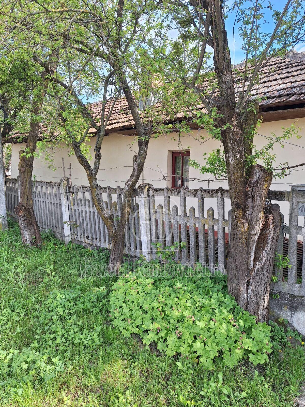 casa de vanzare aninoasa (19)