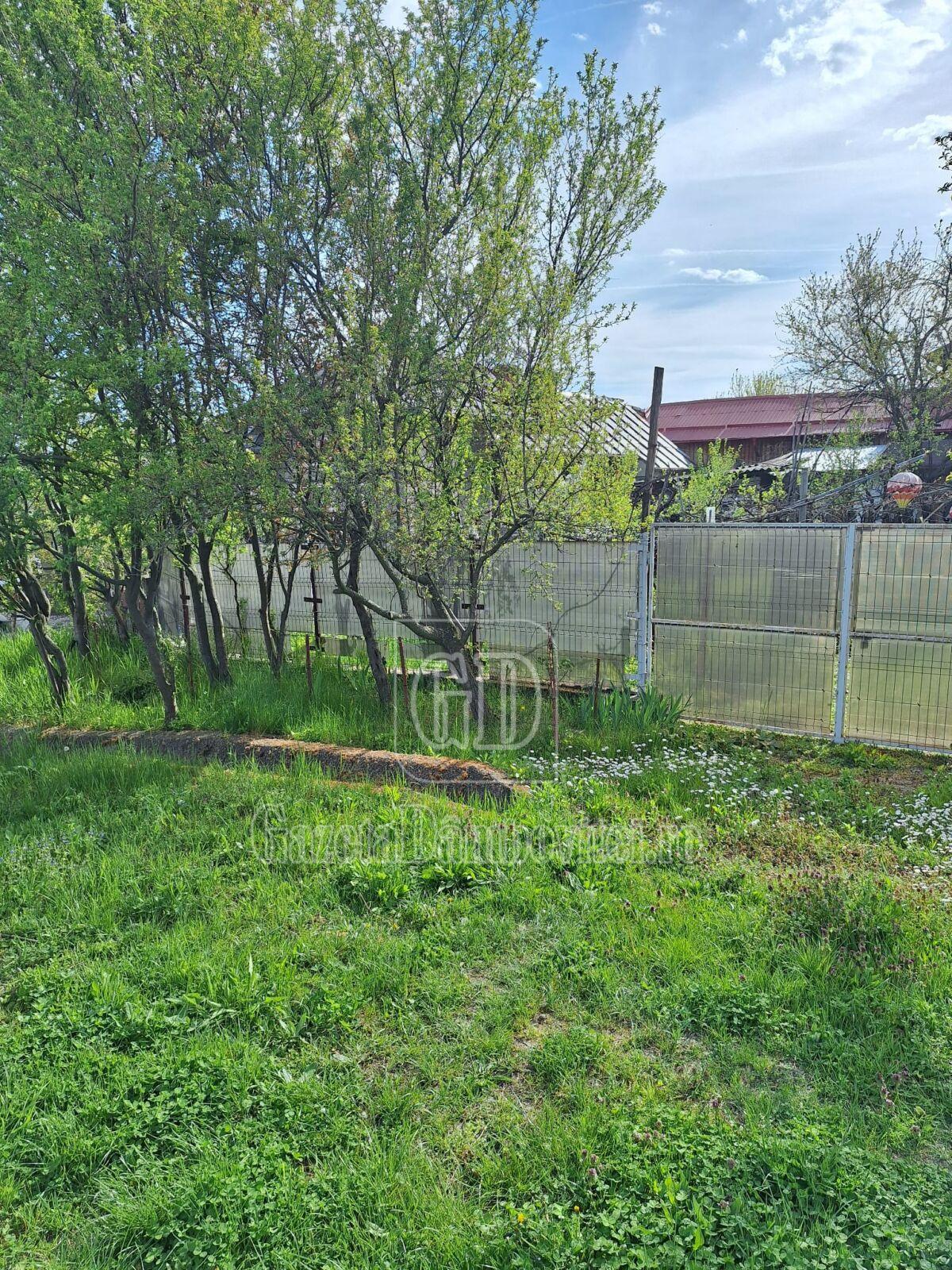 casa de vanzare aninoasa (3)