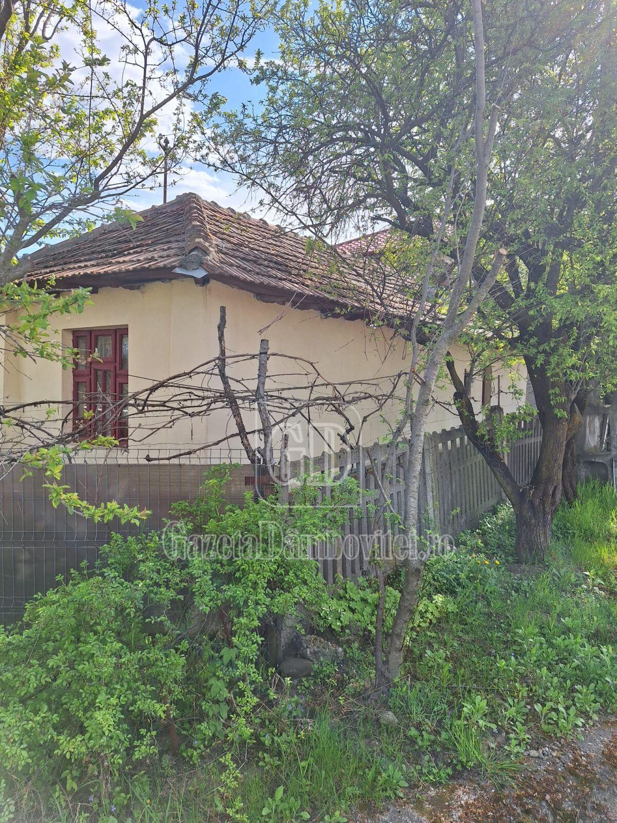 casa de vanzare aninoasa (4)