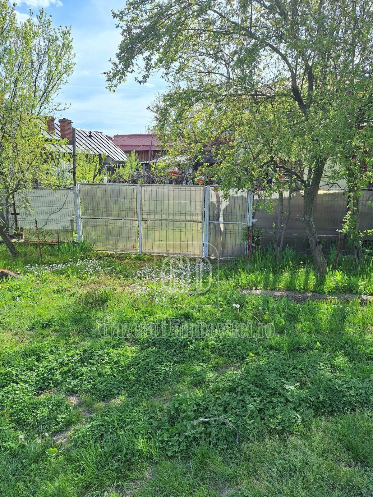 casa de vanzare aninoasa (5)