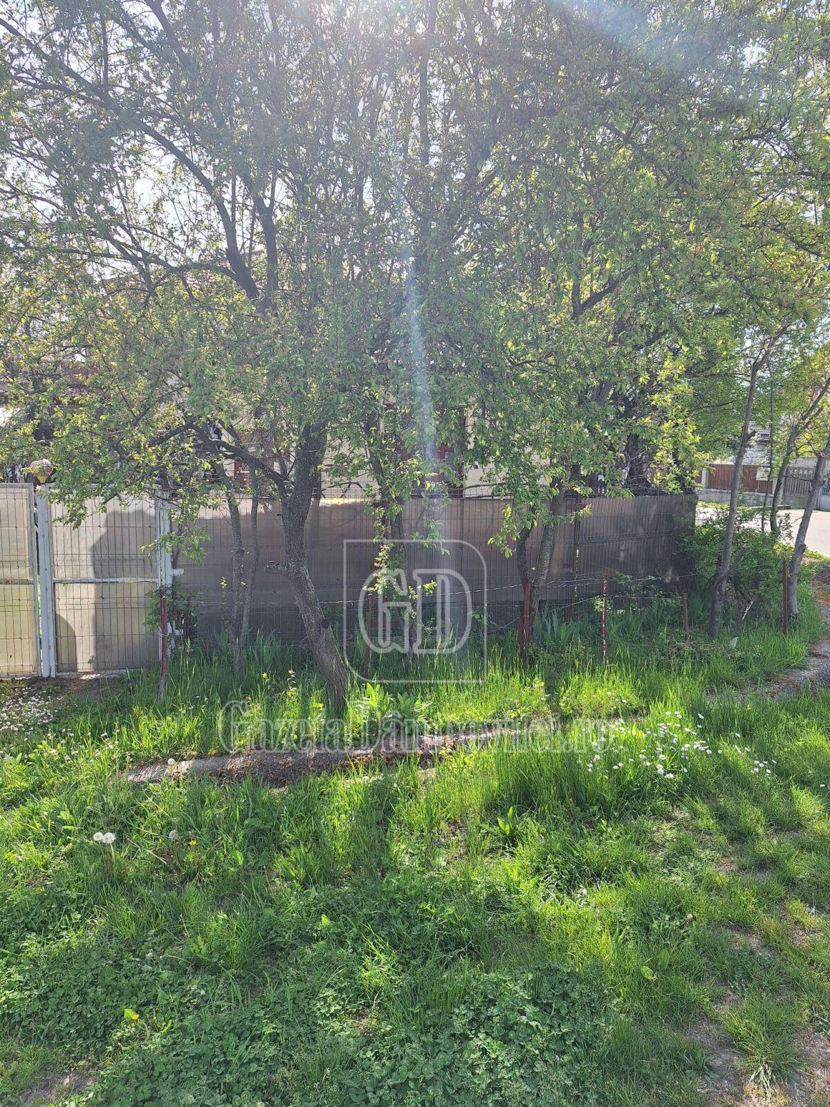 casa de vanzare aninoasa (6)