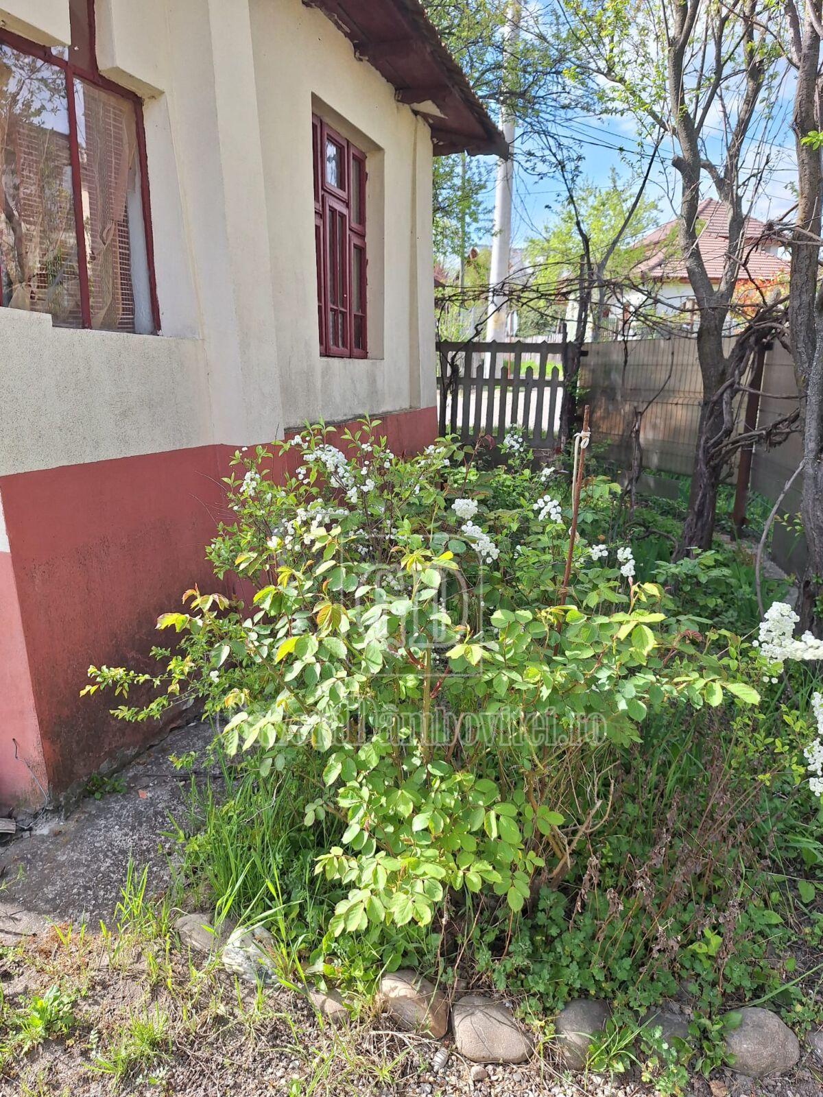 casa de vanzare aninoasa (7)