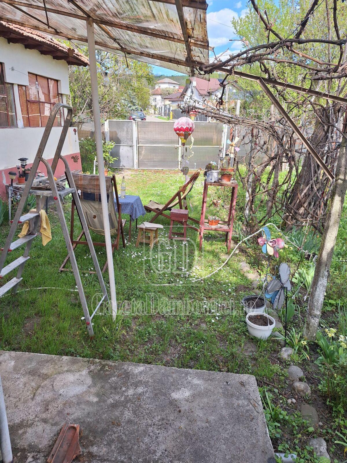 casa de vanzare aninoasa (8)