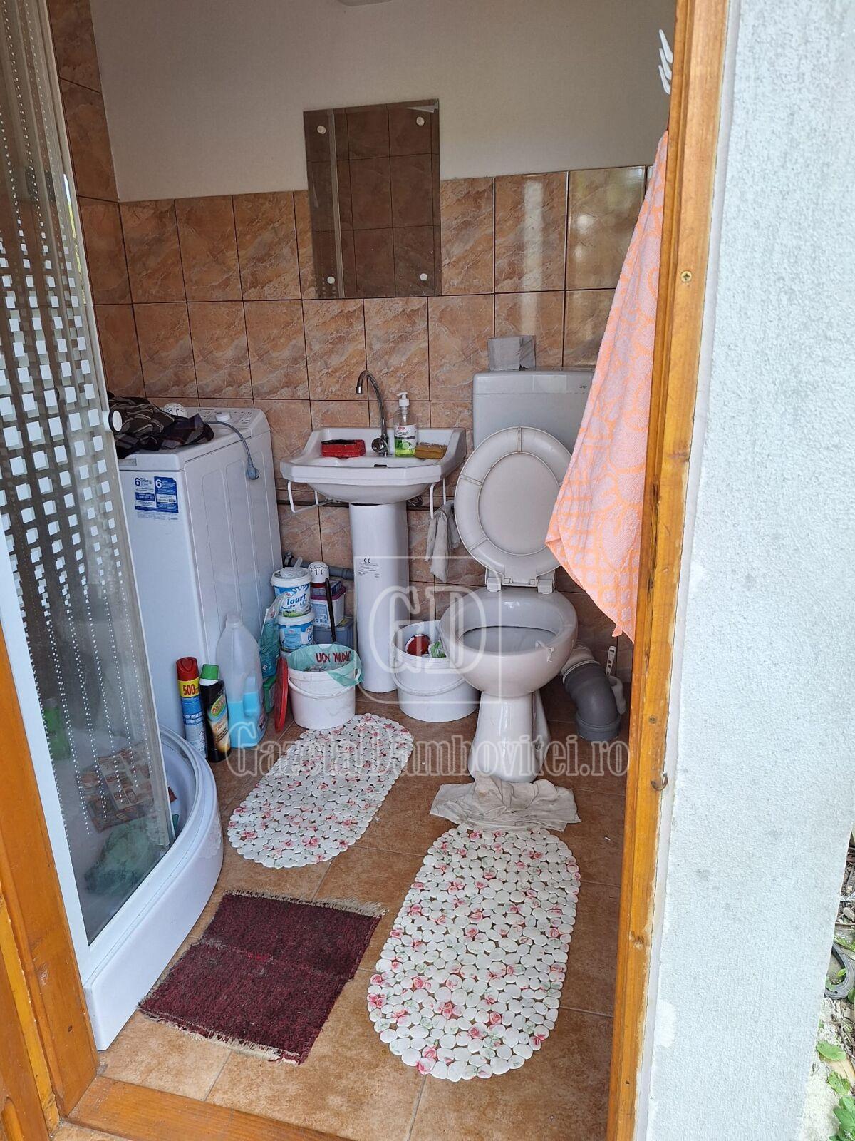 casa de vanzare aninoasa (9)