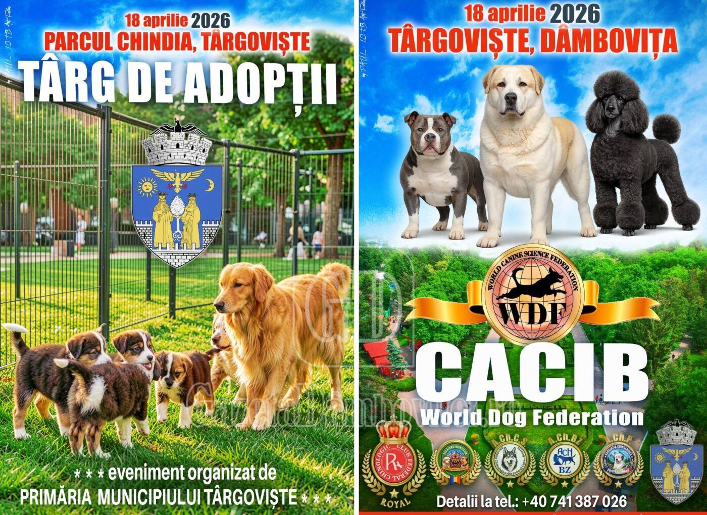 targ adoptii caini targoviste