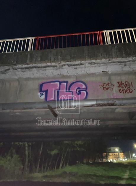 tlc