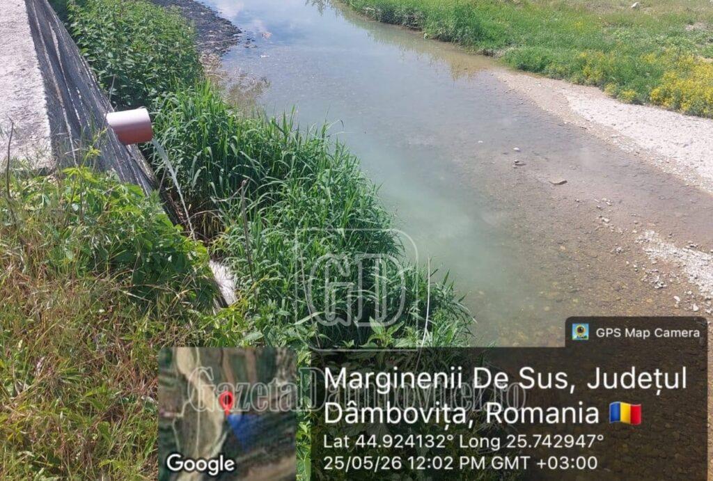 poluare marginenii de sus