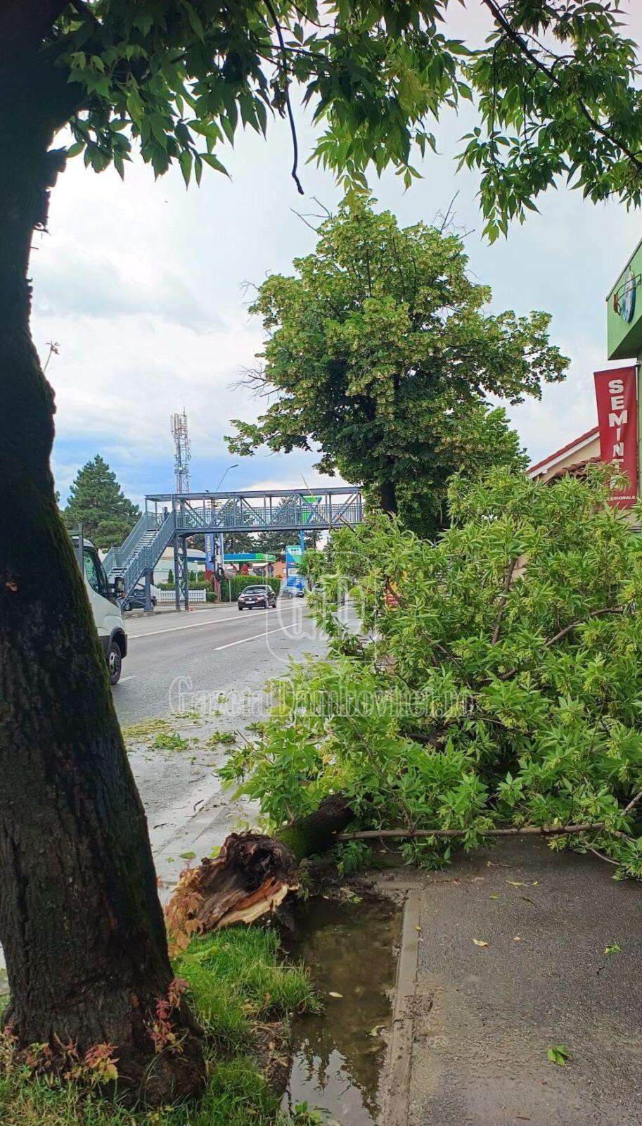 719027610 1362393425796065 8118416560447069353 n