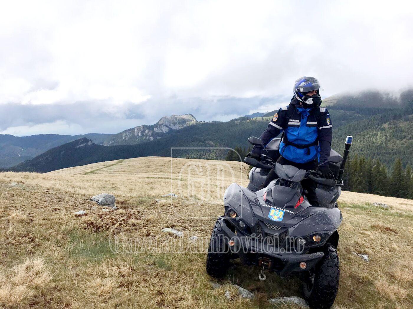 foto bucegi arhivă