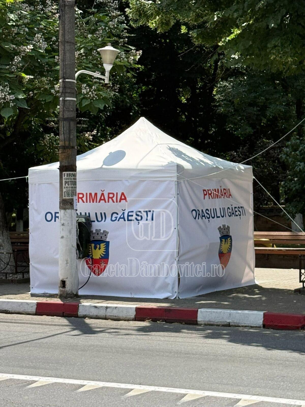 puncte canicula gaesti (3)