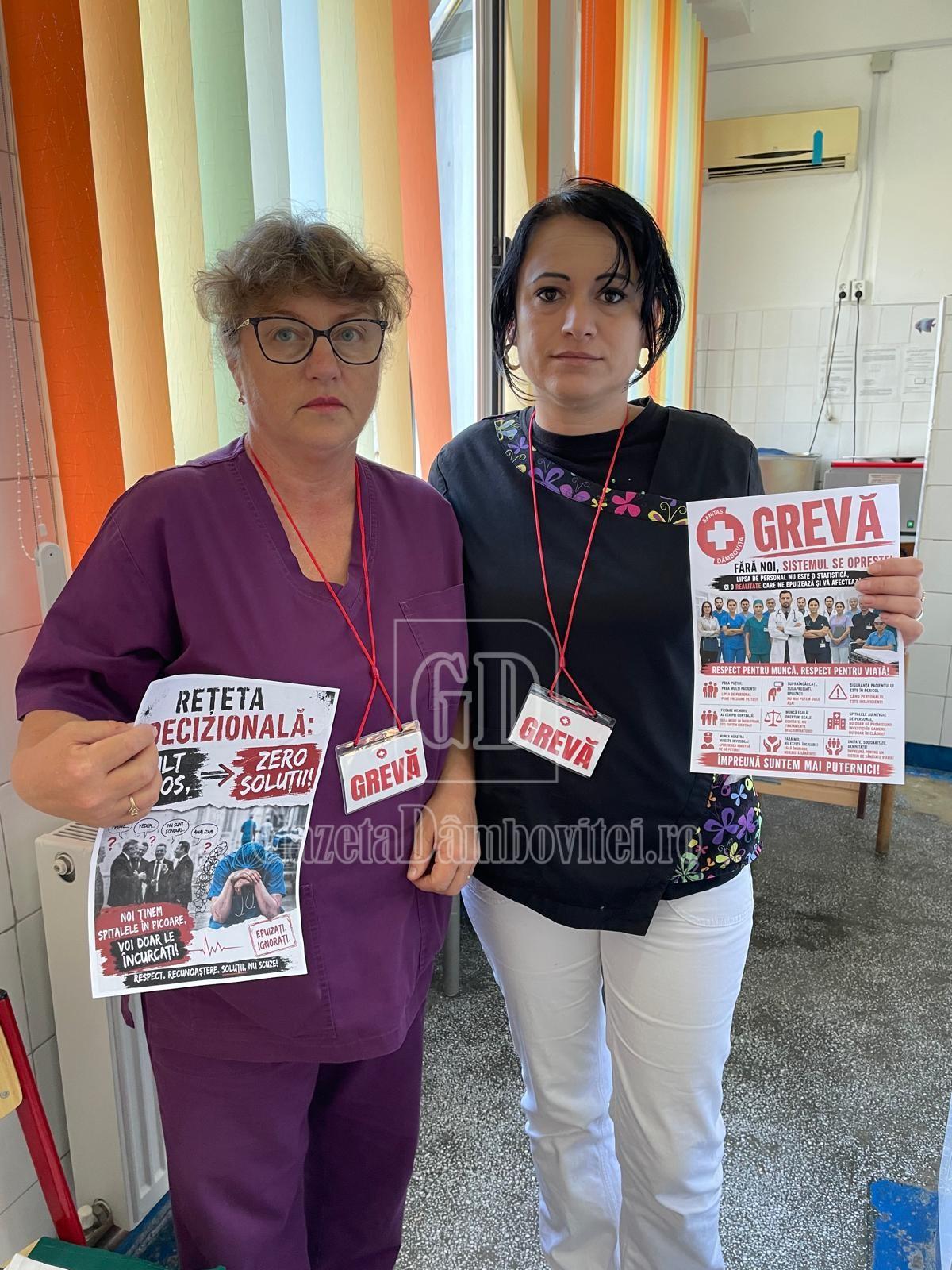 greva sanitas (5)