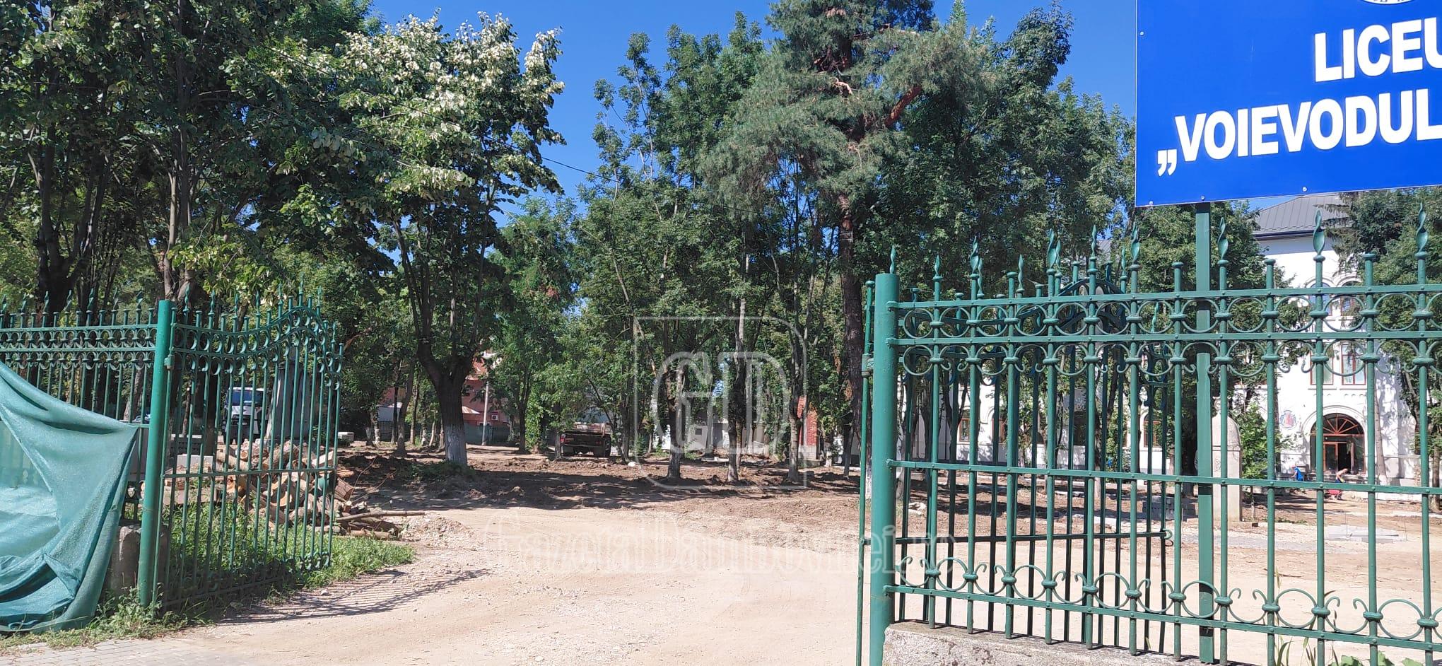 parc liceul voievodul mircea (4)