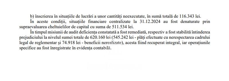 raport curtea de conturi