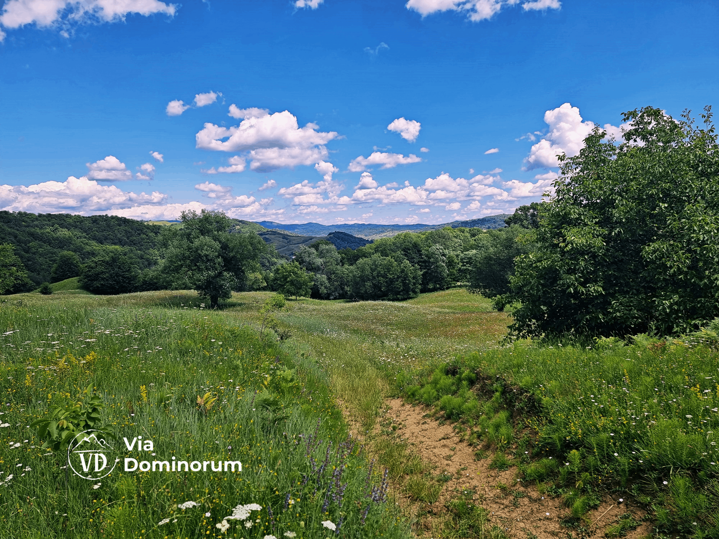 via dominorum în apropiere de cucuteni, dâmbovita