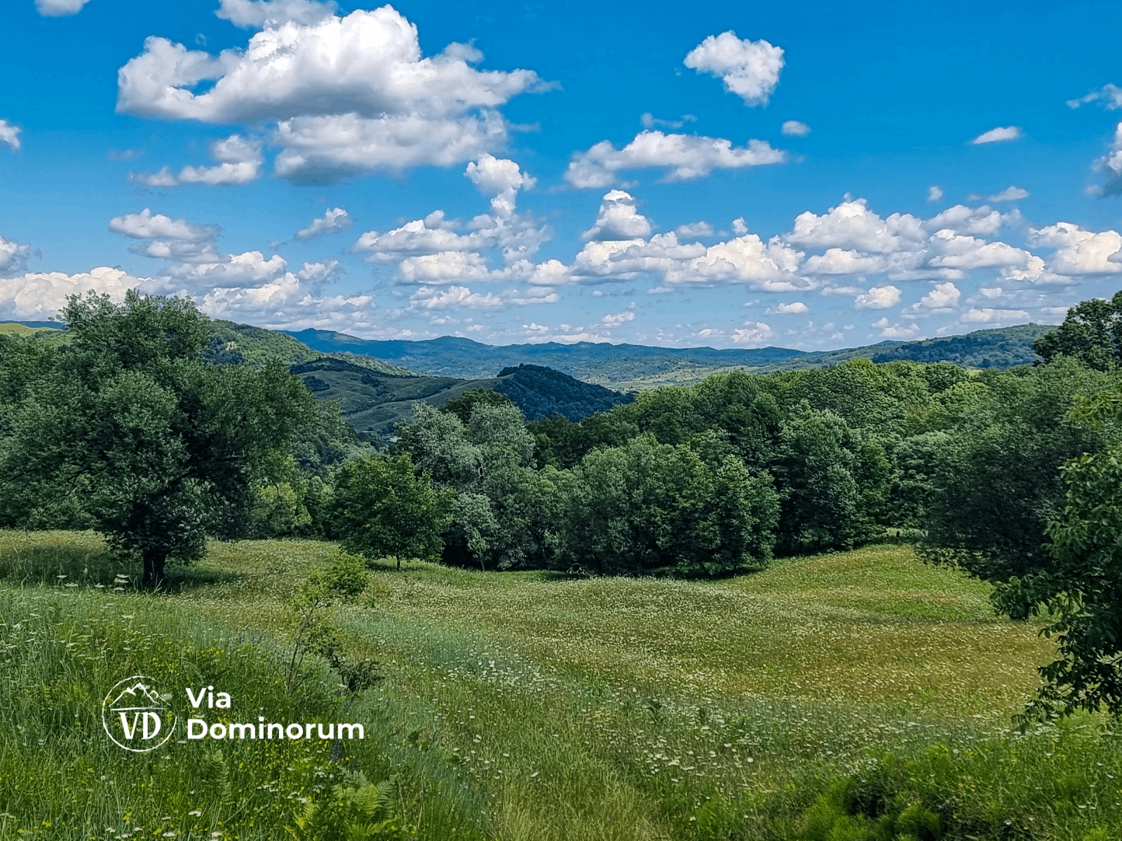 via dominorum în apropiere de fieni, dambovita