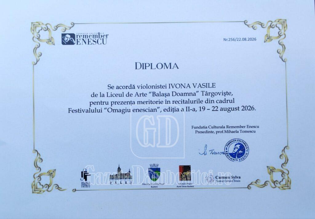 diploma ivona vasile