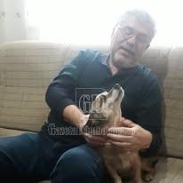 norocica si ionut